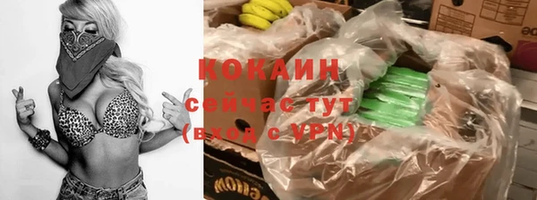 стаф Абаза