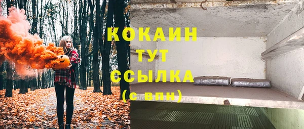 стаф Абаза