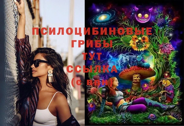 стаф Абаза