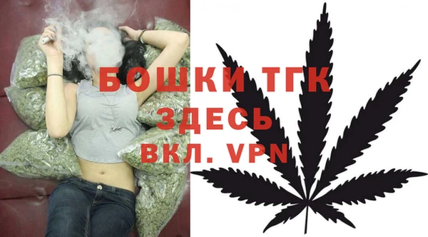 стаф Абаза
