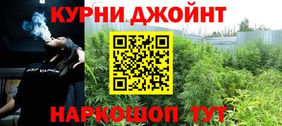 Альфа ПВП Камышлов