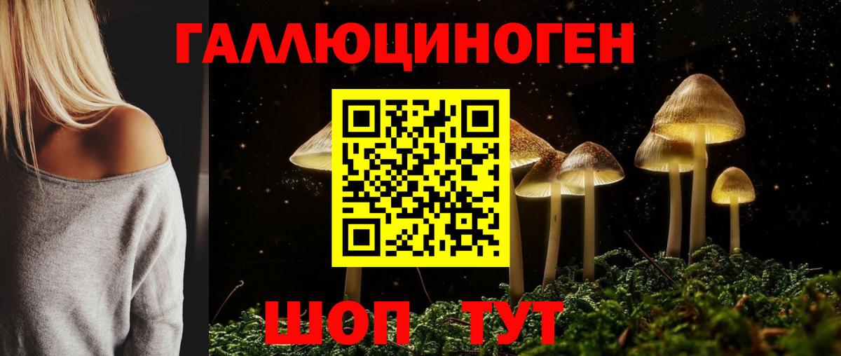 Псилоцибиновые грибы MAGIC MUSHROOMS Людиново